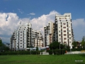 Imagini Cartier Baia Mare | Galerie Foto Baia Mare 